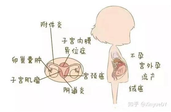 试管婴儿做一次多少钱北医三院