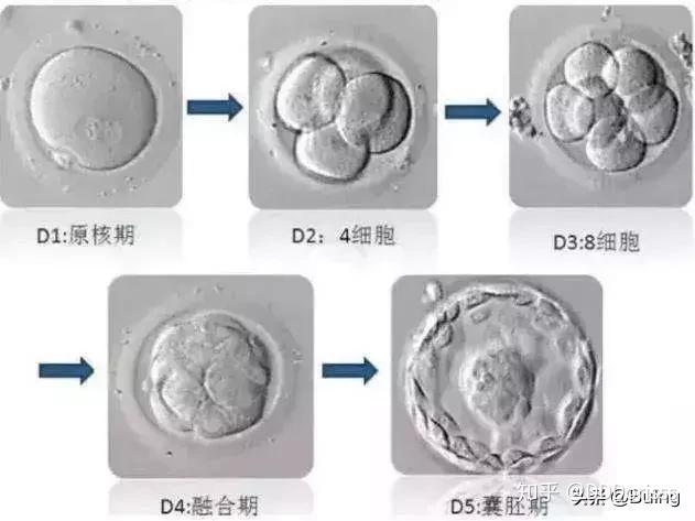 供精后后悔了+供精后婚姻毁了