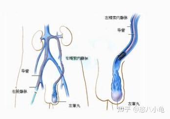 2024辽源私立供卵代怀代生最新发布（附供卵费用及成功率）